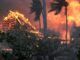 Dems to buy up land destroyed by Hawaii wildfires