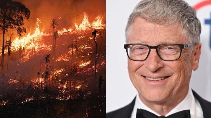 Bill Gates wants to burn down 70 million acres of trees in America to save the planet