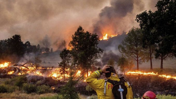 Top climate scientists says WEF arsonists responsible for wildfires, not global warming.