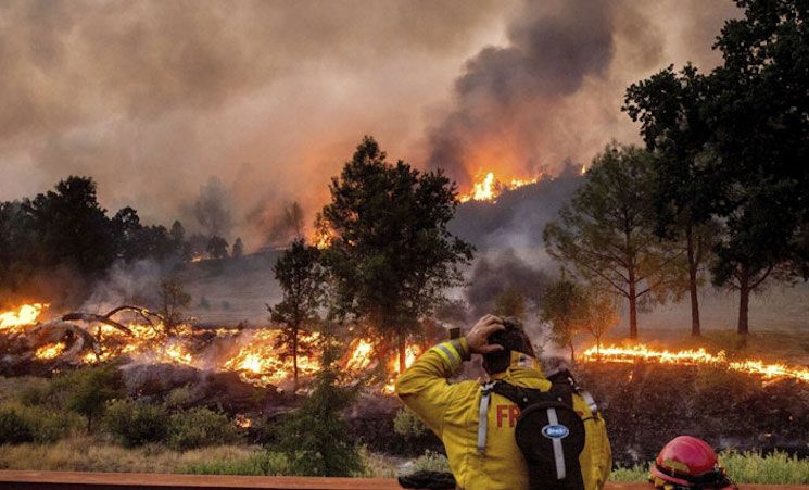 Top climate scientists says WEF arsonists responsible for wildfires, not global warming.