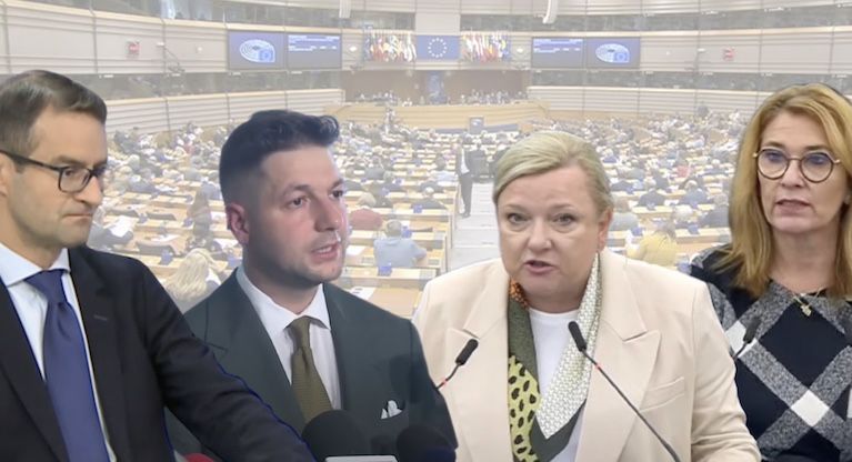 Polish MEPs face prison time for criticizing immigration online
