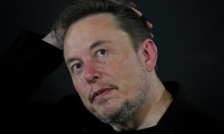 White House labels Elon Musk a domestic terrorist for opposing anti-white racism