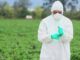 Scientists warn that pesticides are causing millions of men to become completely infertile