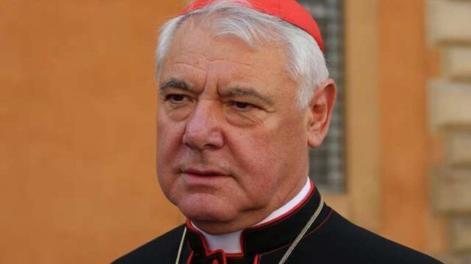 Top Cardinal warns mass migration causing nations to lose their sovereignty