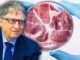 FDA approves Bill Gates fake meat for human consumption