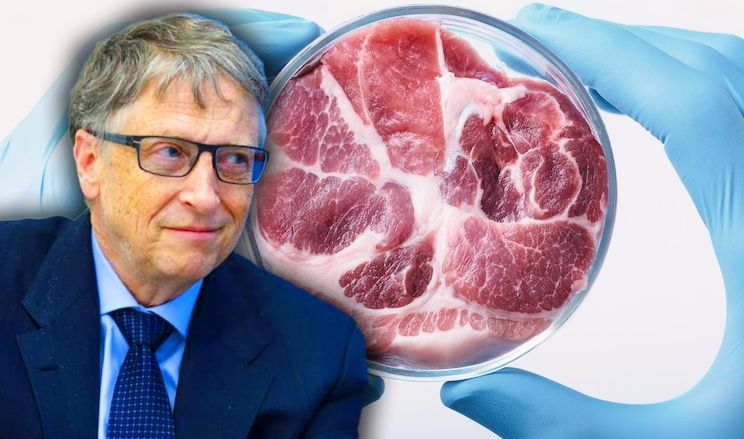 FDA approves Bill Gates fake meat for human consumption