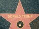 Democrats to remove Trump's star from the Hollywood walk of fame.