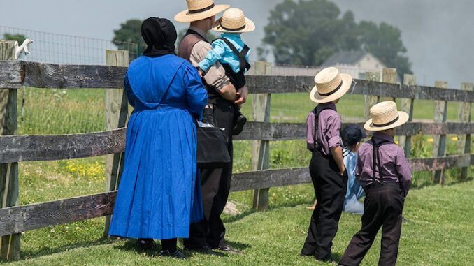 Amish family raided for growing their own organic produce