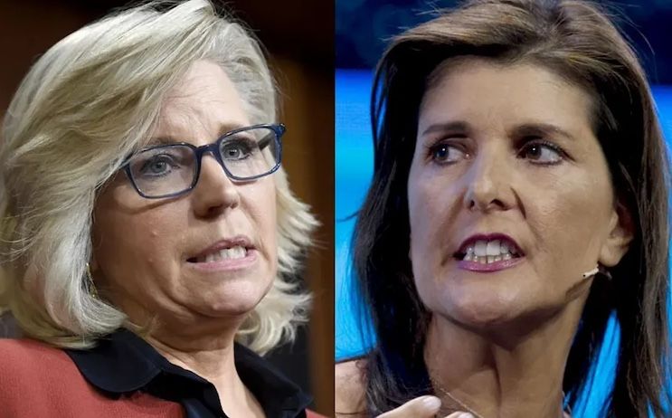 Liz Cheney begs Nikki Haley to stay in the race and defeat Donald Trump.