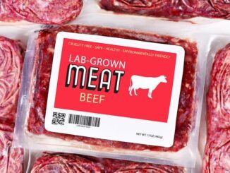 Israel approves sale of Bill Gates' carcinogenic lab grown meat.