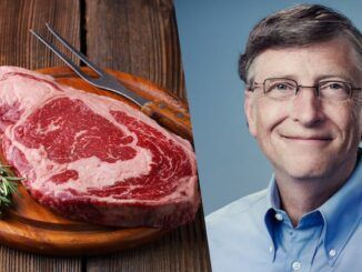 Florida set to ban Bill Gates' fake meat due to the fact it causes cancer.