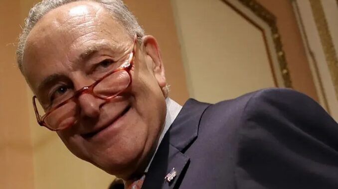 Chuck Schumer vows to send US troops to fight Russia