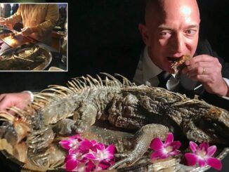 Jeff Bezos funnelling millions into carcinogenic fake meat production