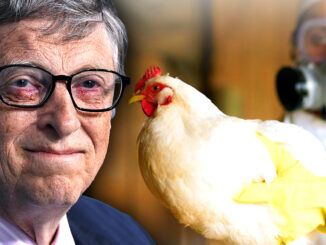 A Gates Foundation insider has revealed America's food supply will be deliberately infected with bird flu to spark the next pandemic and pave the way for Bill Gates' next money-spinning vaccine to conquer the global market.