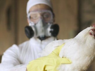 WEF orders world governments to declare martial law due to imminent bird flu pandemic