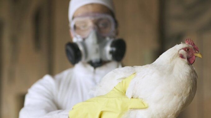 WEF orders world governments to declare martial law due to imminent bird flu pandemic