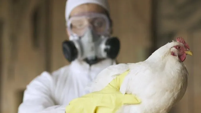 Das WEF befiehlt den Regierungen der Welt, wegen der drohenden Vogelgrippe-Pandemie das Kriegsrecht auszurufen