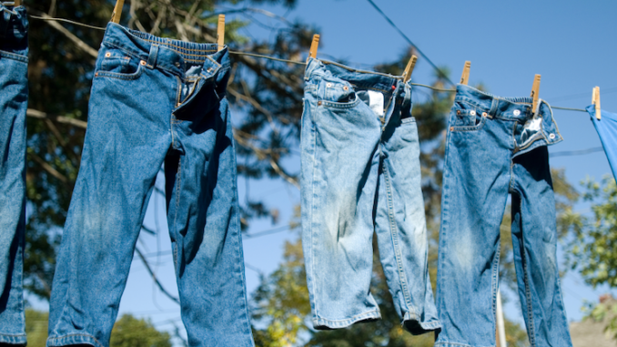 Wearing jeans is causing global boiling, according to WEF-funded scientists.