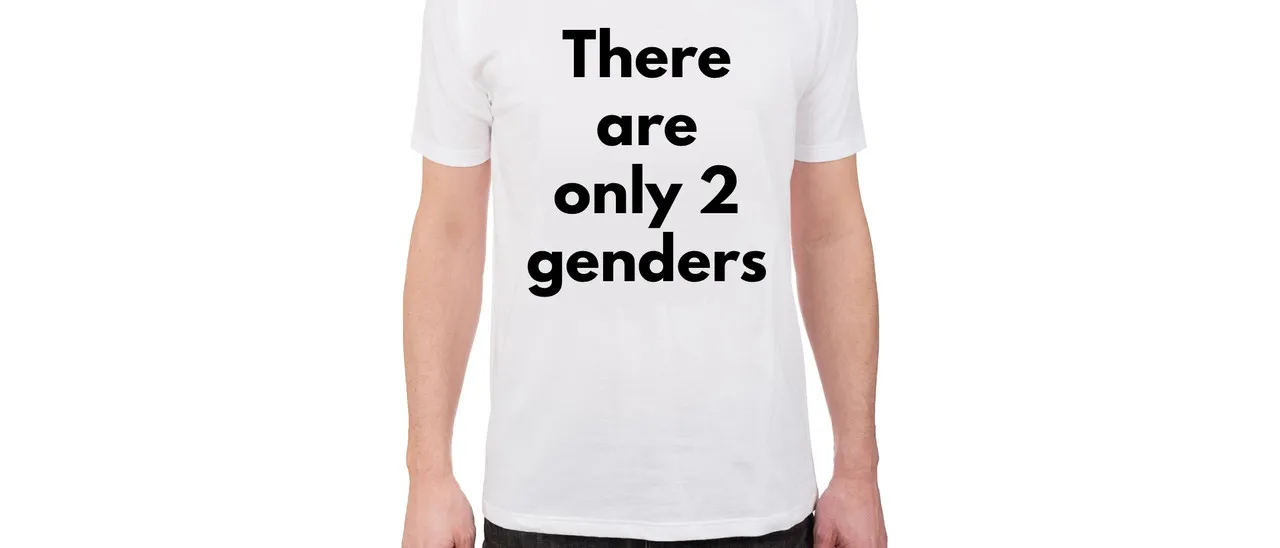 only-2-genders-shirt.jpeg.webp