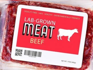 Florida bans lab grown meat