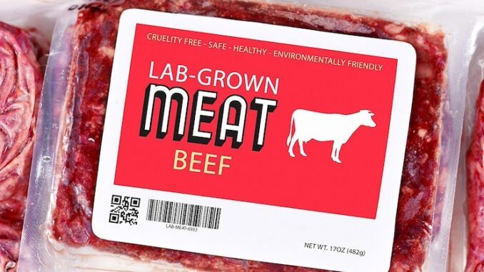 Florida bans lab grown meat