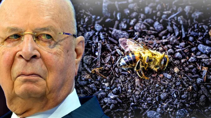 ВЭФ приказал правительству сжечь миллионы пчел, чтобы вызвать «глобальный голод»