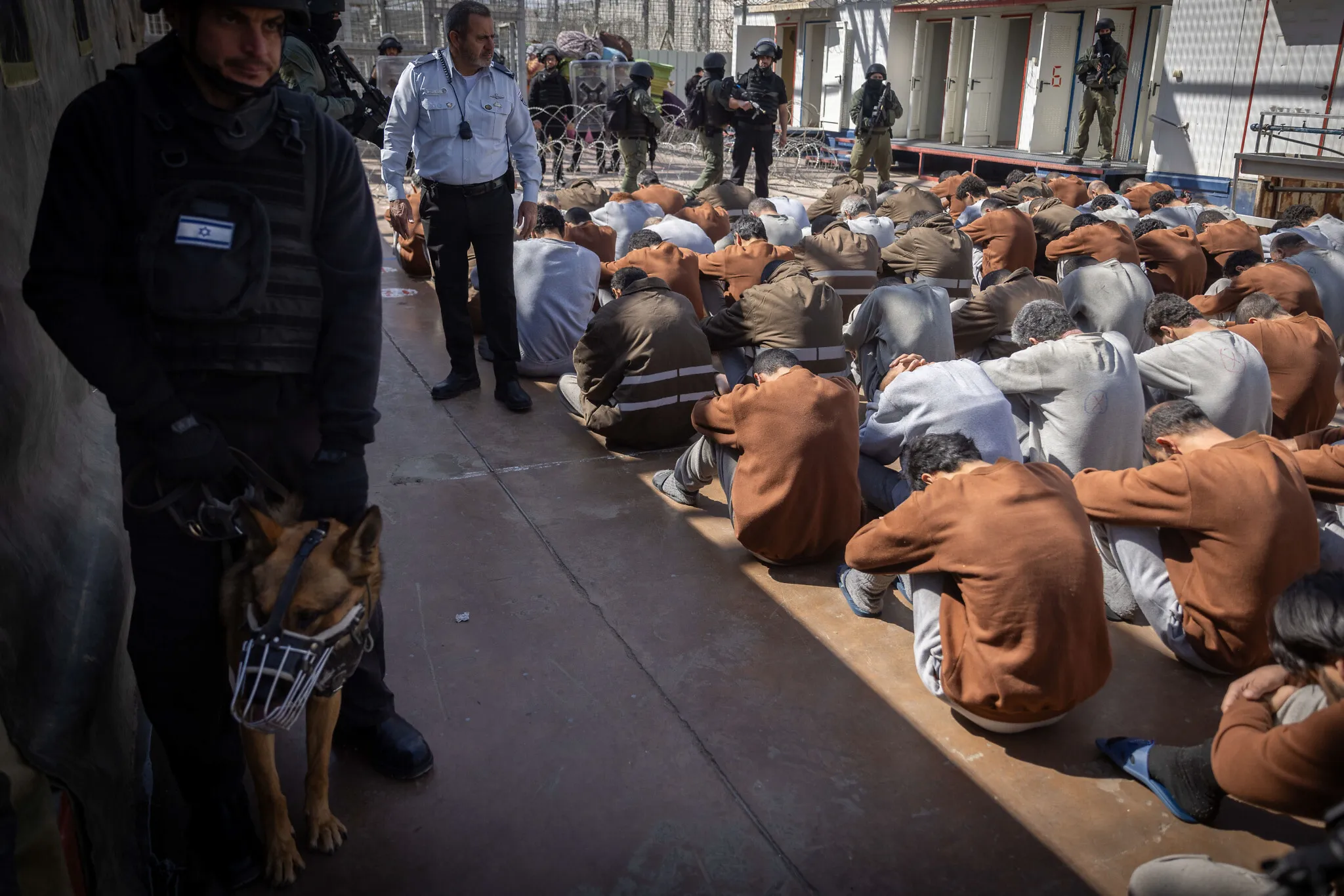 Israel Using Trained Prison Guard Dogs To Rape Palestinian Civilian Detainees