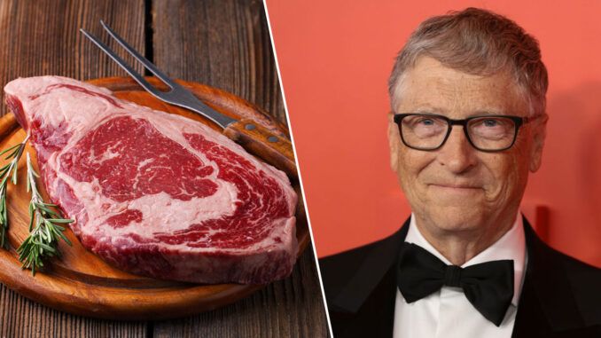 fake meat Bill Gates