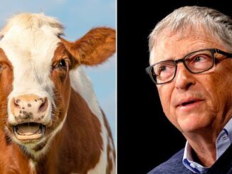 Bill Gates unveils climate vaccine
